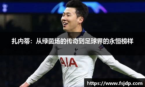 扎内蒂：从绿茵场的传奇到足球界的永恒榜样