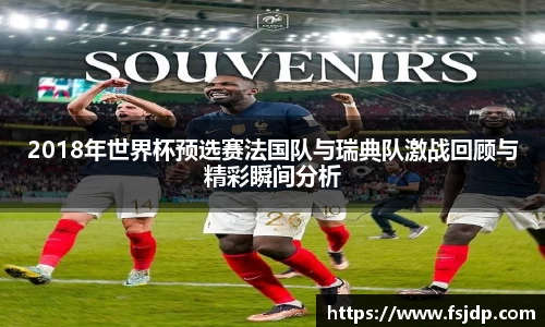 2018年世界杯预选赛法国队与瑞典队激战回顾与精彩瞬间分析